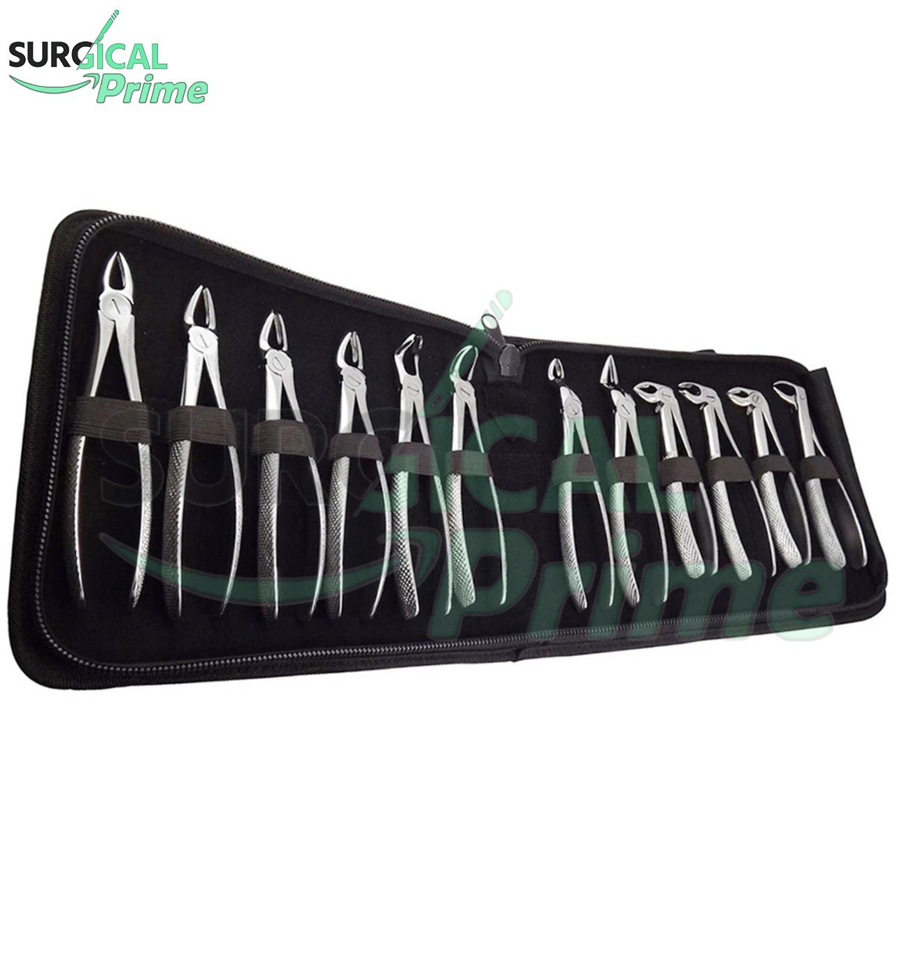 Set of 12 Pcs Extracting Forceps Dental Extraction Forceps Kit