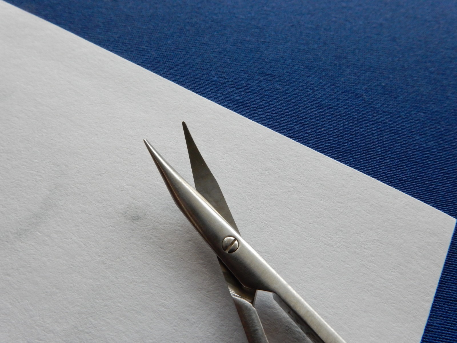 Katena K4-3100 Westcott Curved Scissor 22mm 4.5″