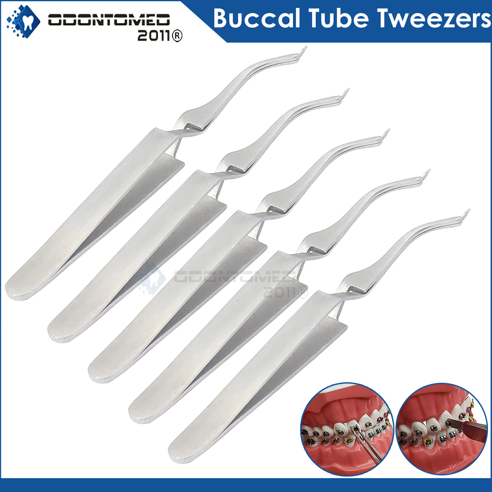 6 Dental Orthodontic Buccal Tube Tweezers Surgical Dental Instruments