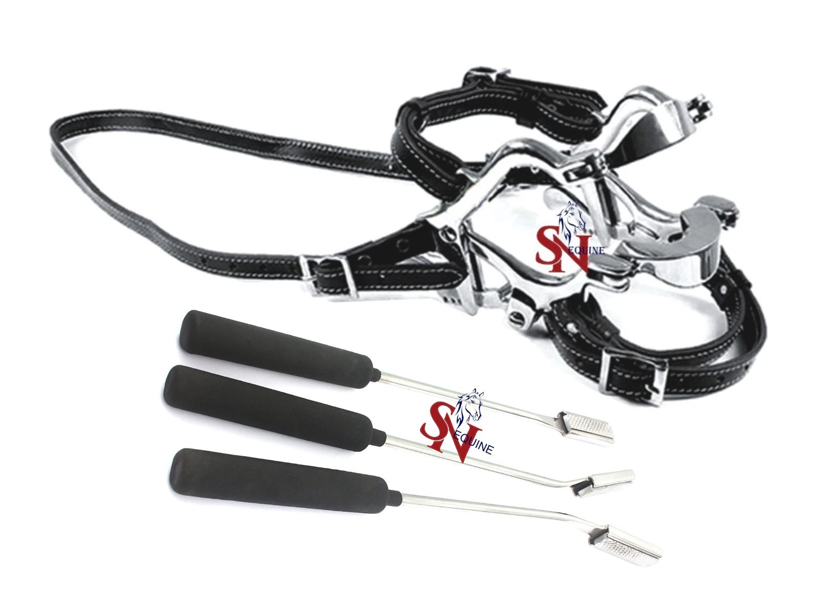 Equine Dental Kit Pony Speculum & 3 Float Set Up Down Straight Horse Veterinary