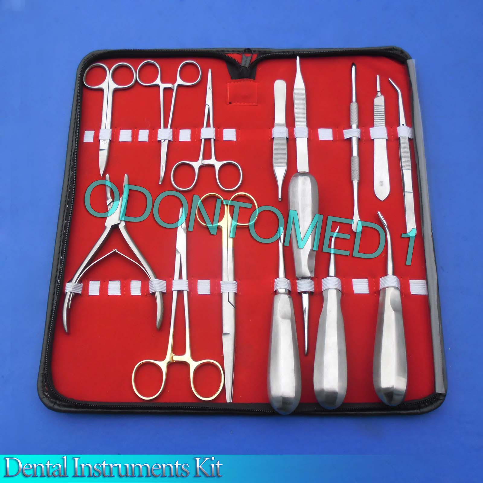 Extraction/Extracting Dental Kit, Stainless Steel, Surgical Dental Instruments