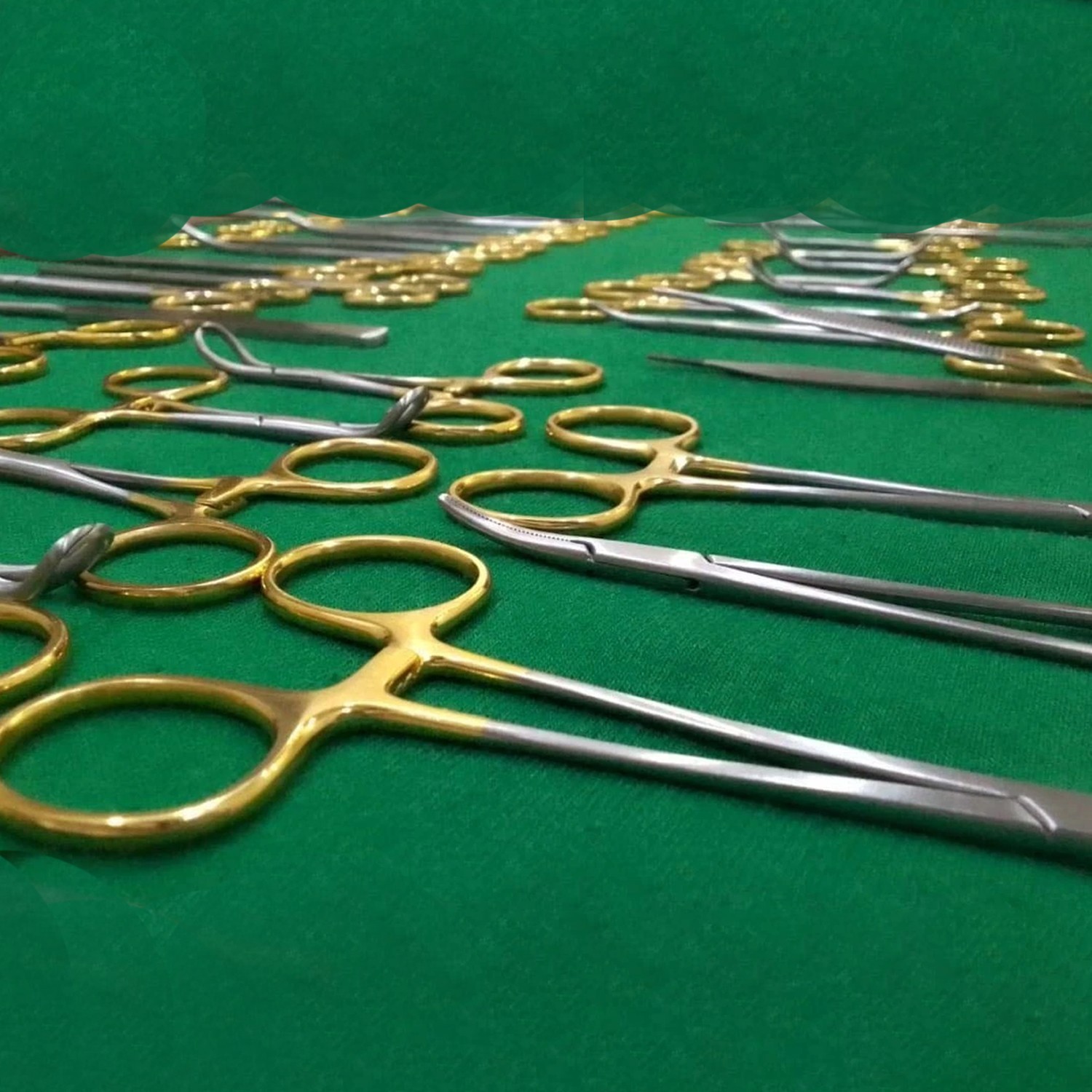 General Surgery Spay Pack Set Of 40 Pcs- Gold Handle- Surgical Instruments Kit,