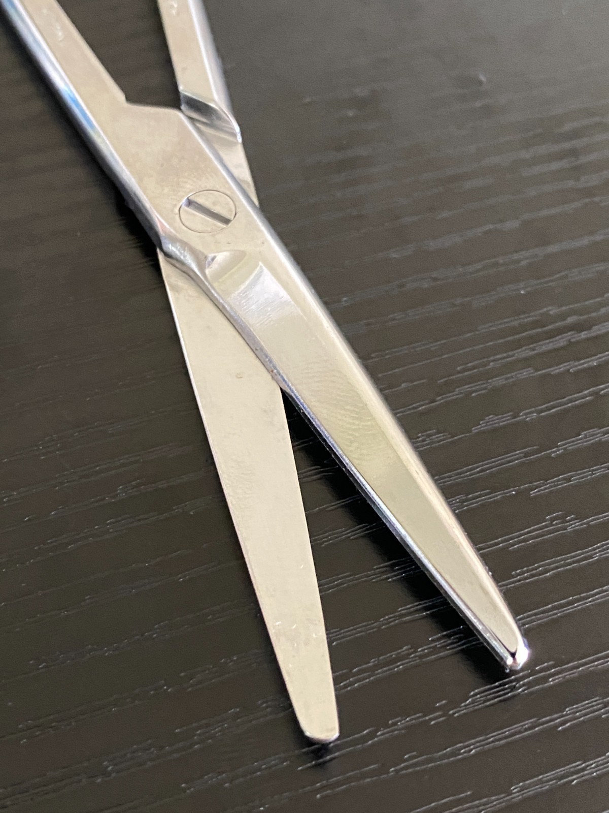 Weck 460420 Mayo Scissors – 6.75 Inch – Stainless Steel – Used