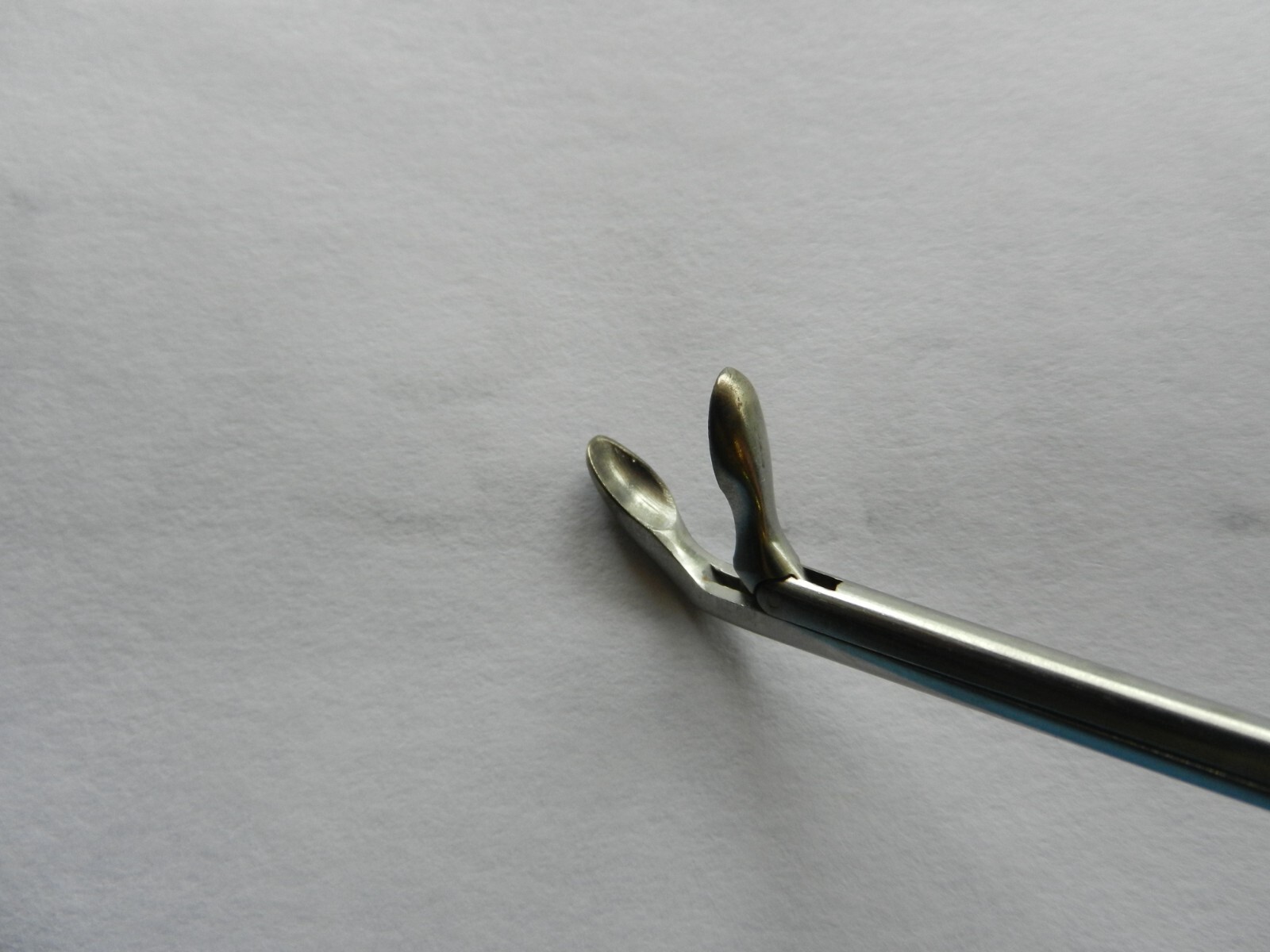 D3747 Storz Surgical Up Angled Nasal Forceps