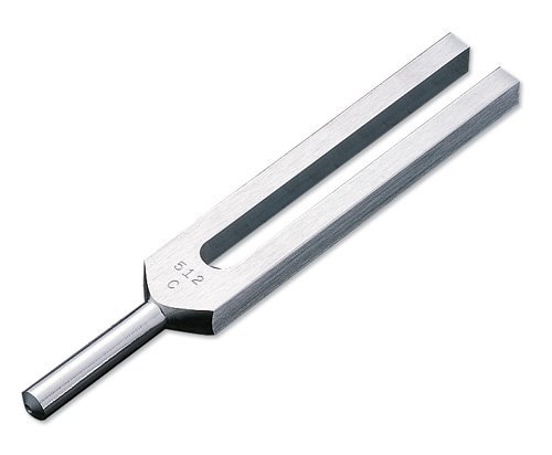 NEW Tuning Fork 512 ENT Surgical Medical Instruments Exam Diagnostic Tools