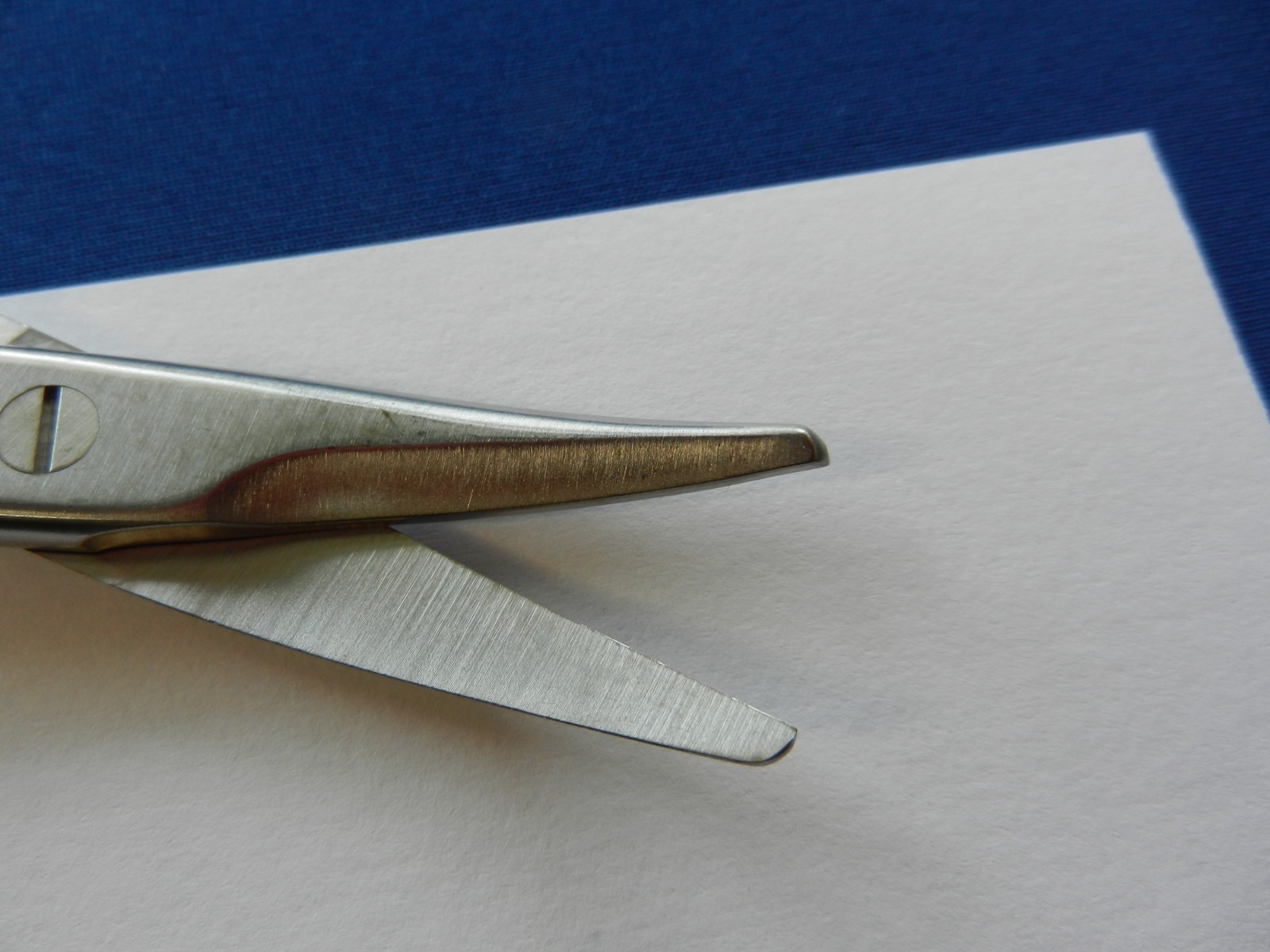Aesculap BC557R Mayo Curved Blunt Scissors 17cm Overall Length