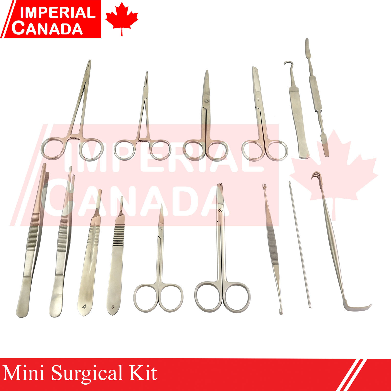 15 Pcs Mini Surgical Kit Dressing Scissors S/B 6″ Needle Holder 6″ Probe DS-1715