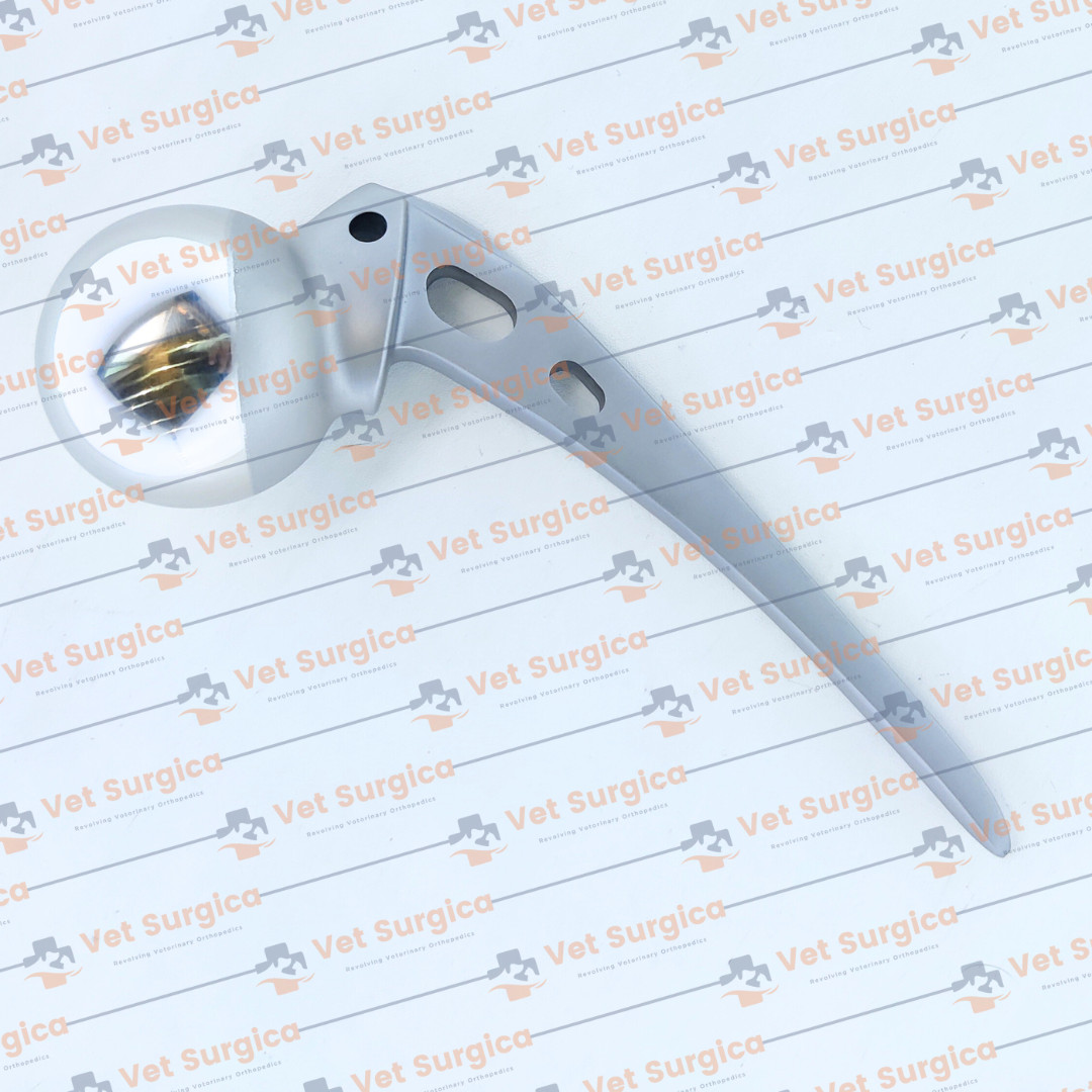 AMP Hip Prosthesis Orthopedic Instruments 41mm, 42mm, 43mm 3 Pcs Set