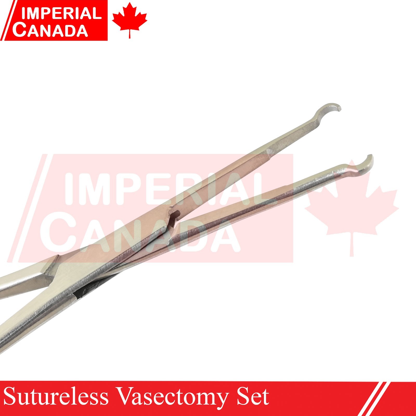 Sutureless Vasectomy Surgery Forceps Surgical Instruments Stainless Stee DS-2452