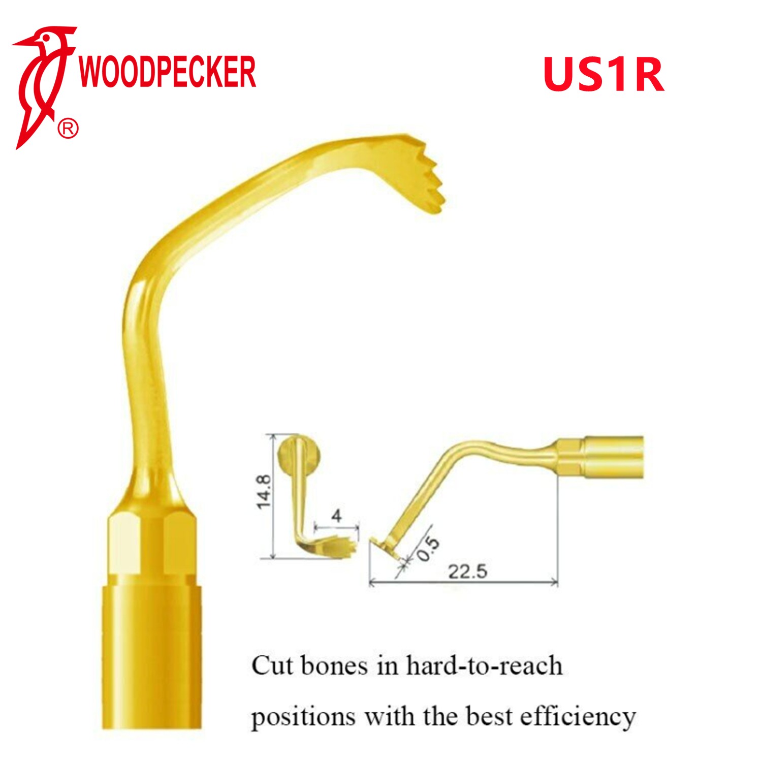 Woodpecker Dental Piezo Ultrasonic Bone Surgery Tip US1R Fit US-II LED Surgery