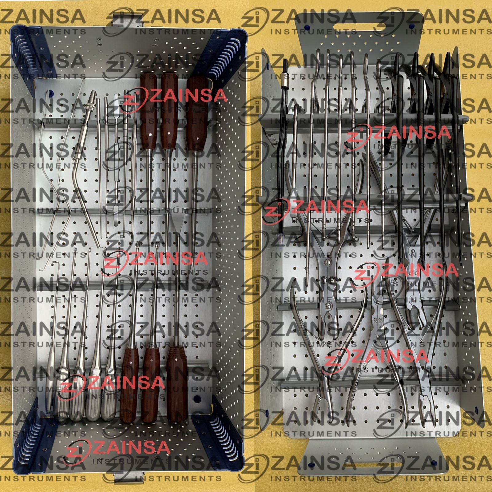 German Lumbar Spine Surgery Instrument Set with Sterilization Box Orthopedic