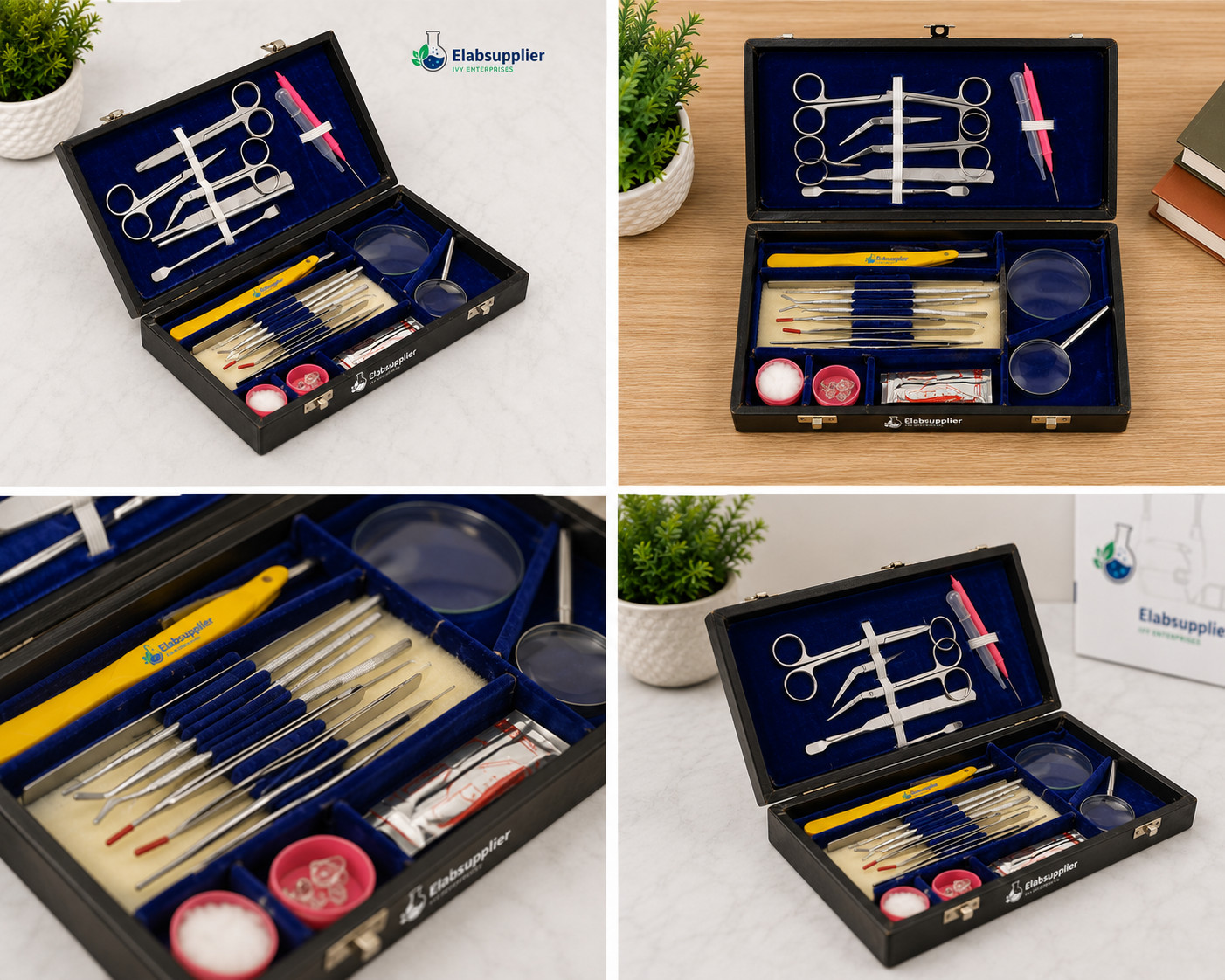 Biology Dissection BOX Kit Student Lab Anatomy Surgical Instruments Set Case