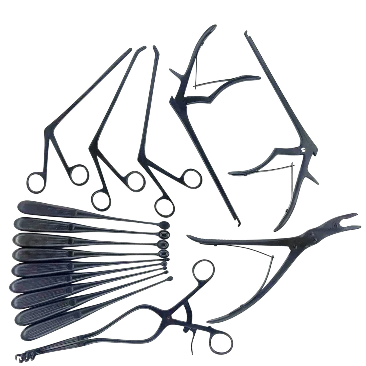 Set of 16PCS of Basic Laminectomy Surgical Orthopedics Instruments Black Coated