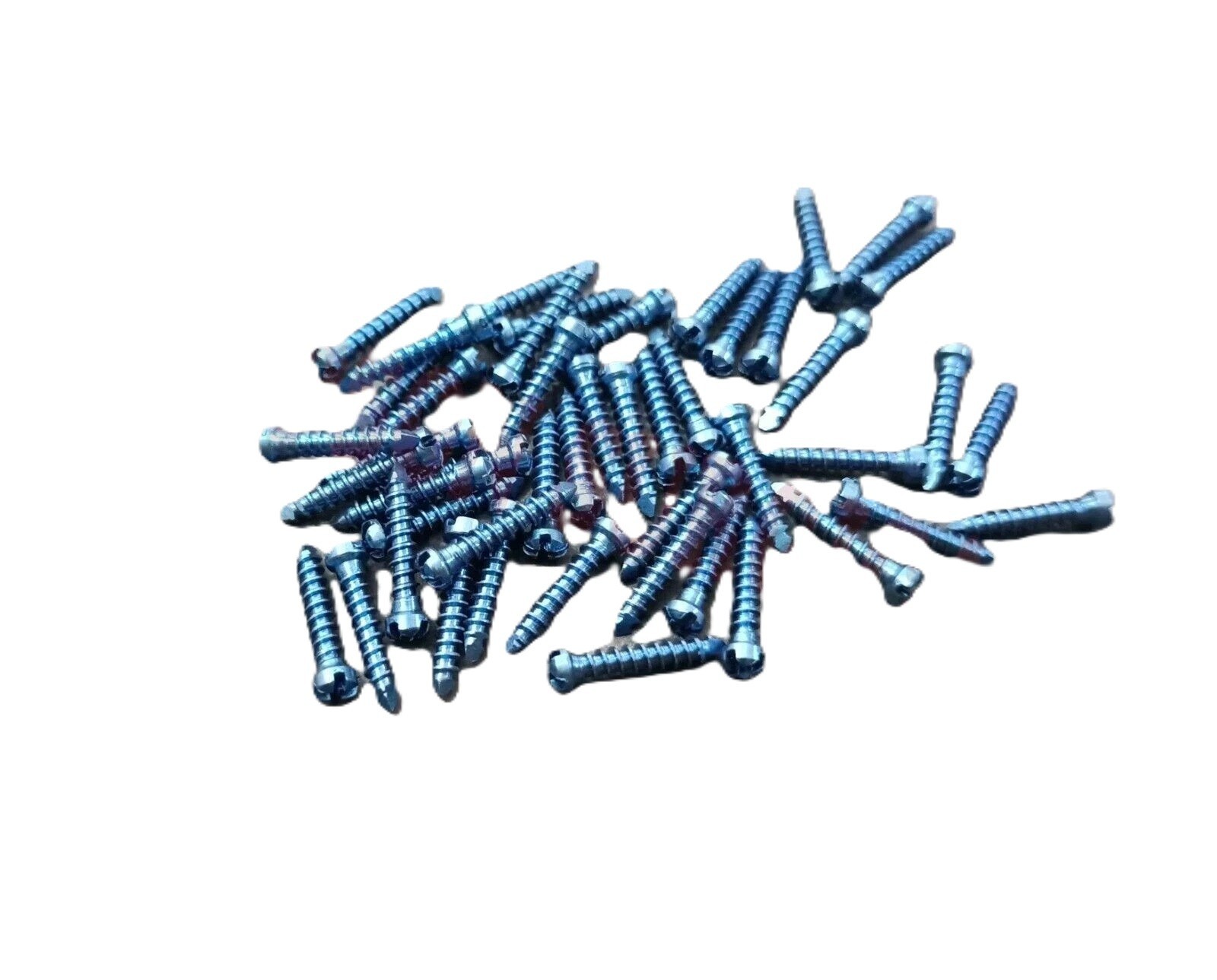 Veterinary 2.0mm Maxillofacial Straight Plate 24hole -2pc & 2.0mm Screw 50pc