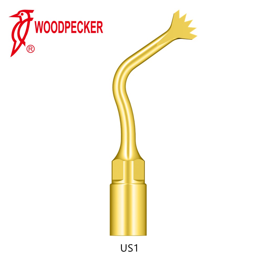 Woodpecker 1pc Dental Perio Bone Surgery Tips US1 for US-II LED AI-SURGERY