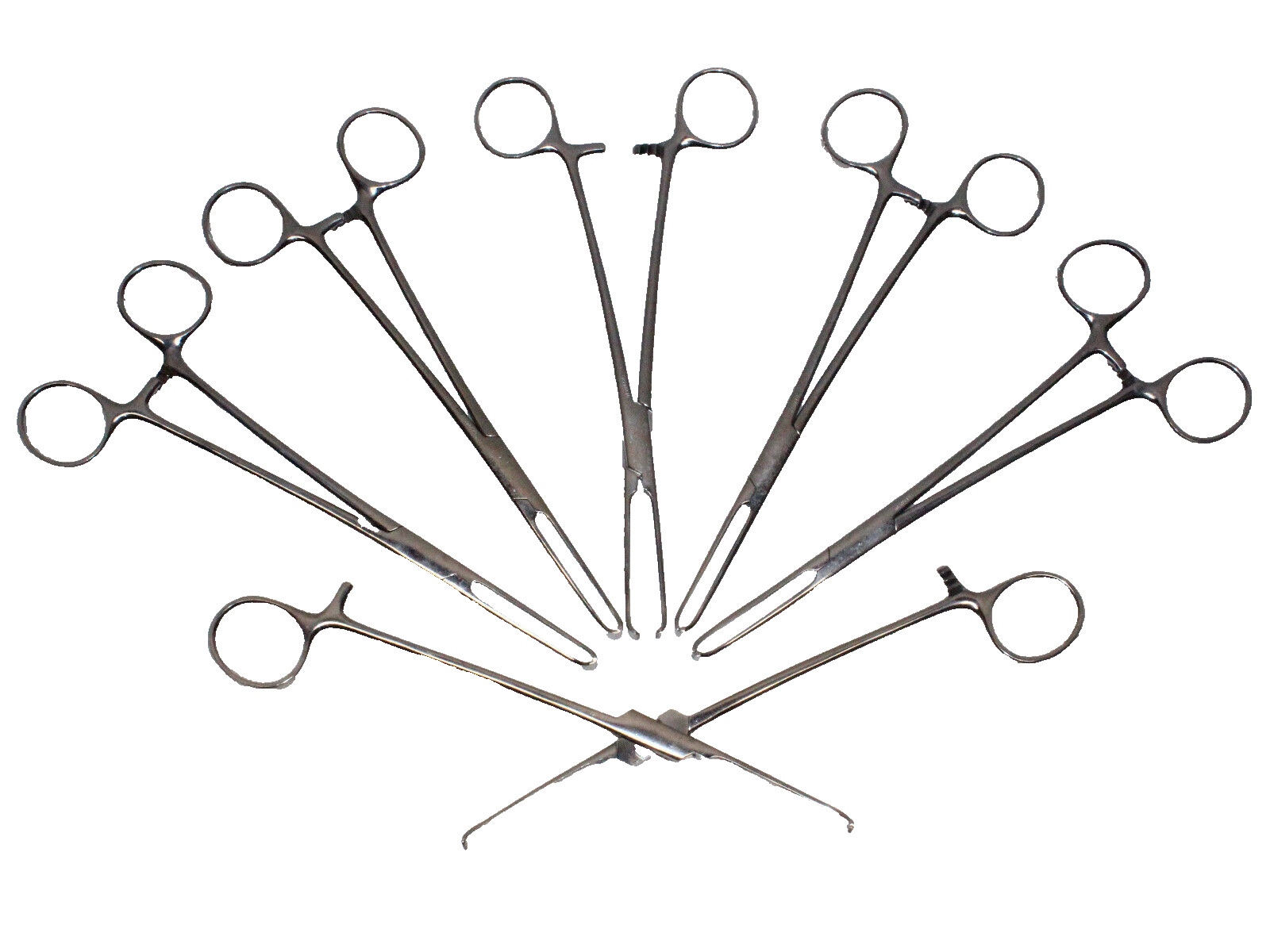 LOT OF 6 LAWTON Straight Allis Tissue Surgical Forceps 5×6 Teeth, Length 7½”
