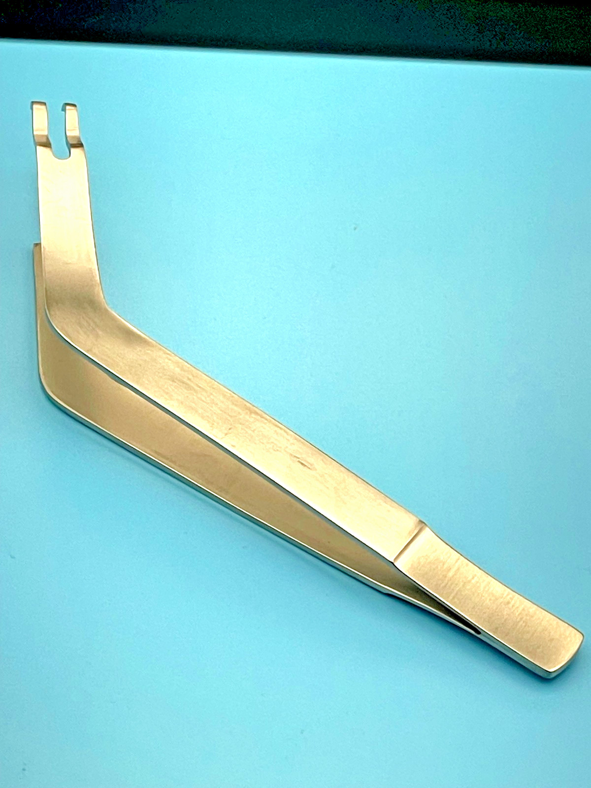 Grasping and Sterilizer Forceps, 6″