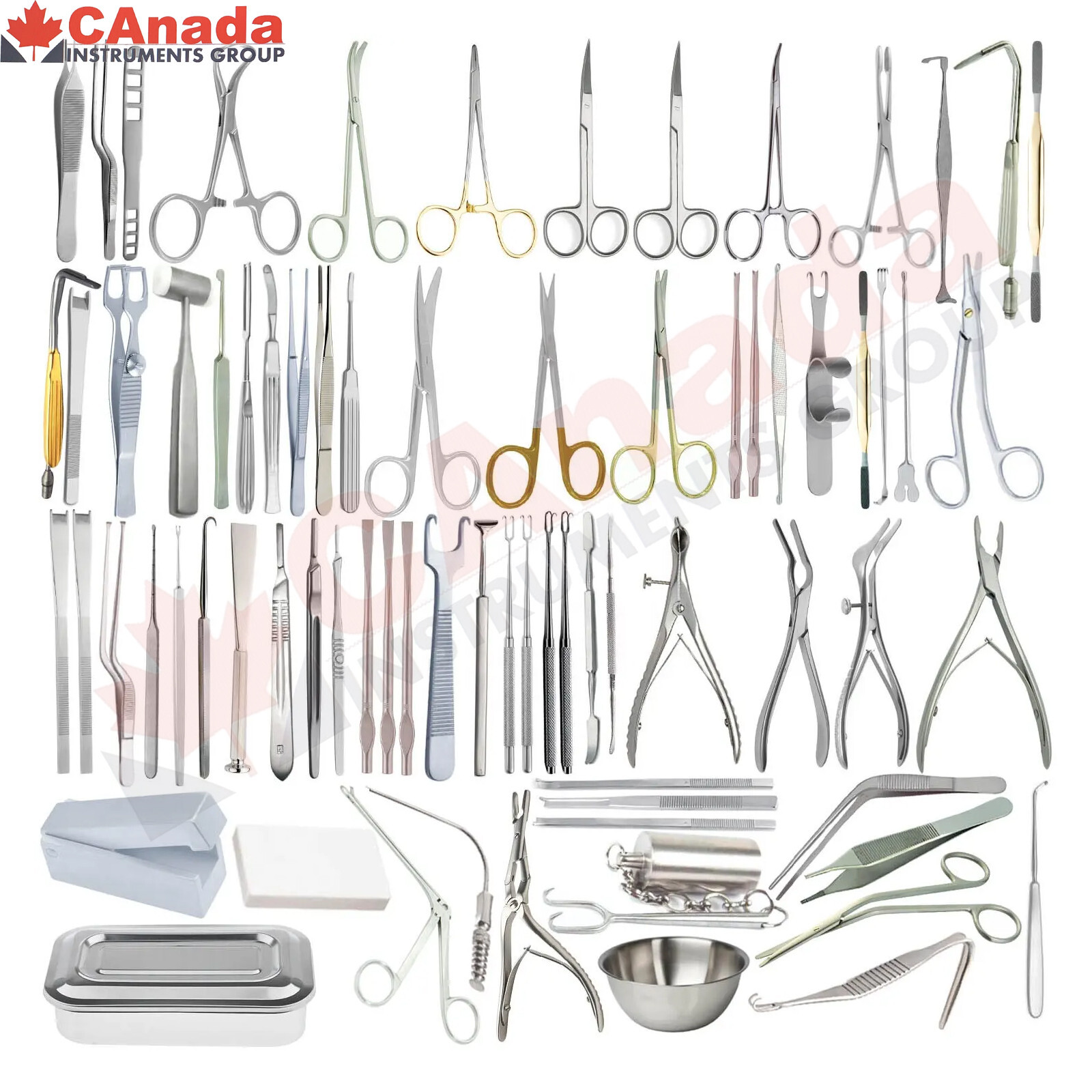 Nose Major Plastic Surgery Set Nasal ENT Basic Rhinoplasty Instruments of 81 Pcs