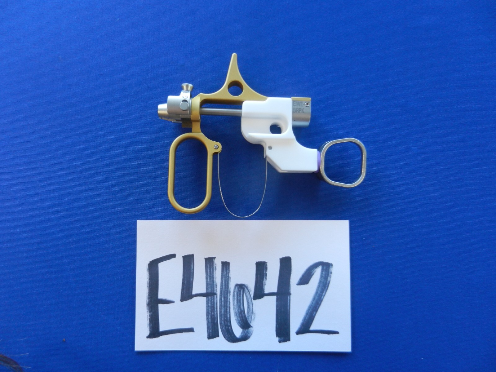 E4642 Gyrus ACMI EIWE-BRPK Iglesias PJ Working Element