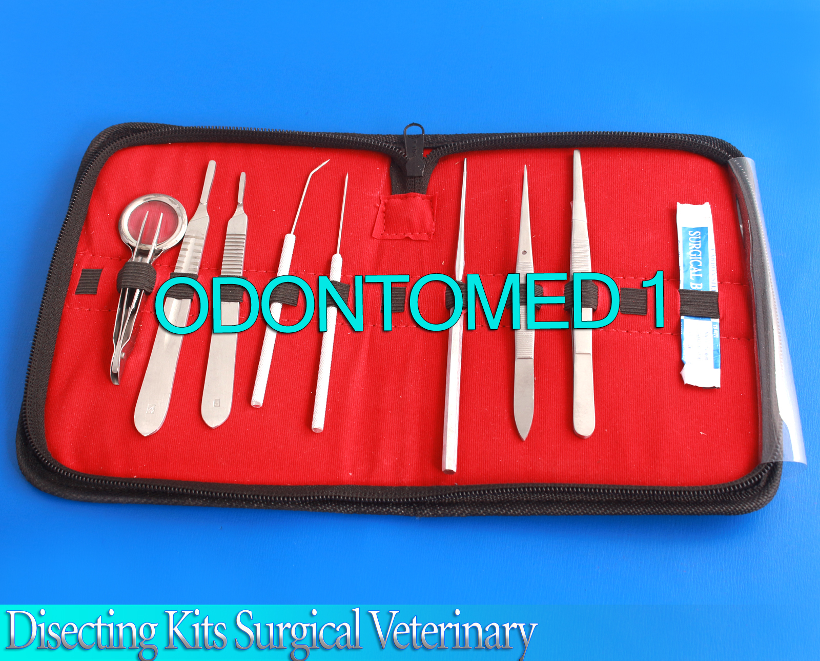 Disecting kits Surgical Veterinary Dental Instruments