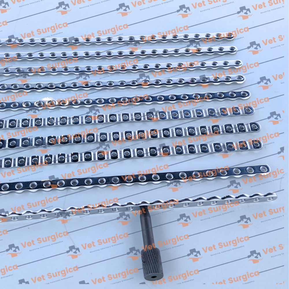 ALPS Locking 2.7mm Veterinary Plates 10 Set Pcs 22 Holes Stainless Steel Quality