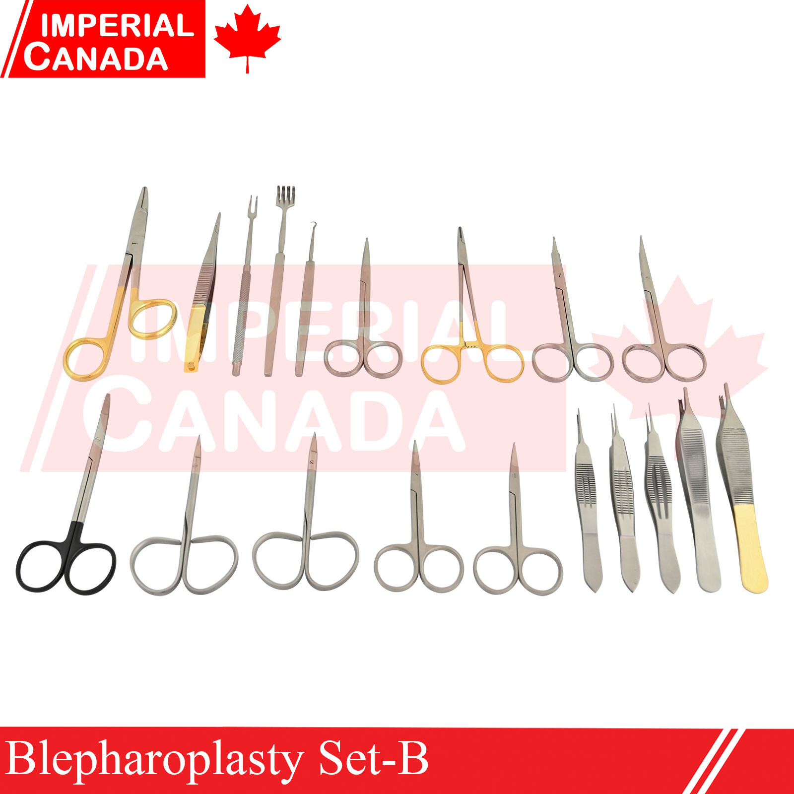 19 Pcs Blepharoplasty Set-B Orthopedic Surgical Stainless Steel DS-1719