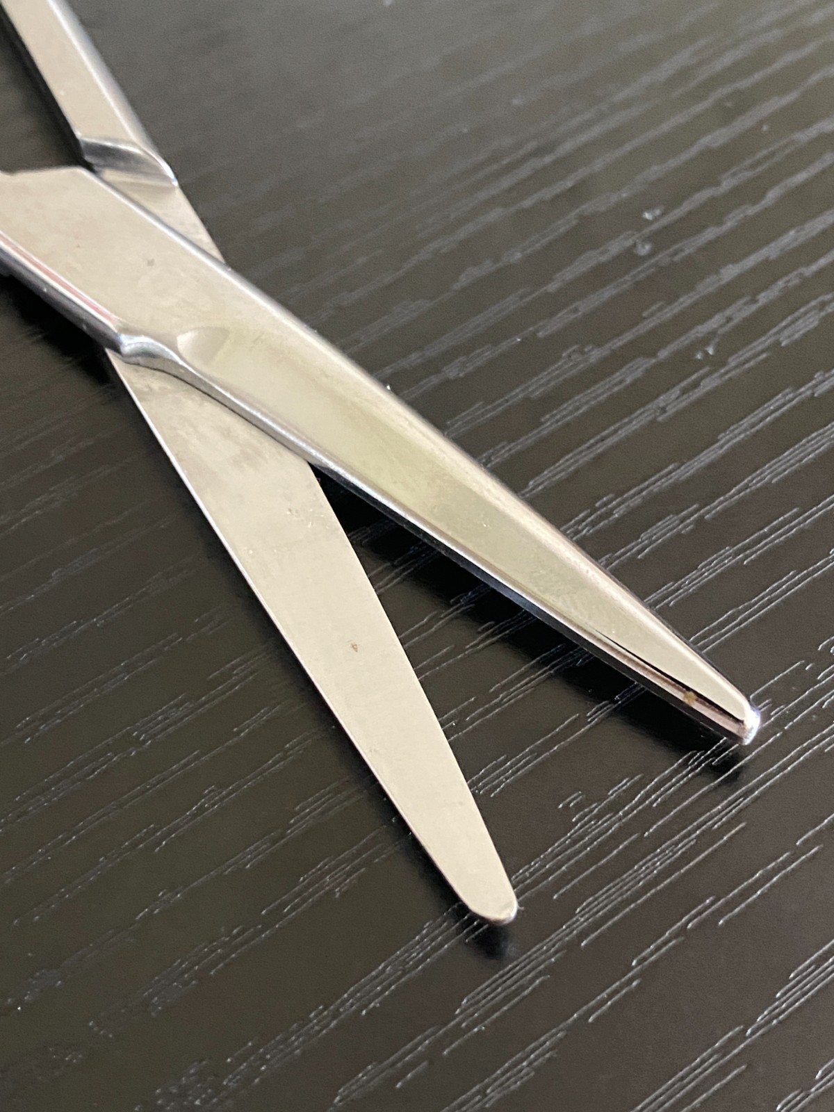 Weck 460420 Mayo Scissors – 6.75 Inch – Stainless Steel – Used